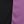 Black Purple