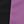 Black Purple
