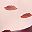 Lips Print