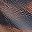 Brown Leopard