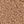 Honey Beige
