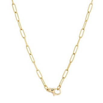 Adornia Tarnish Resistant 18k Gold Flash Plated Paperclip Chain Necklace