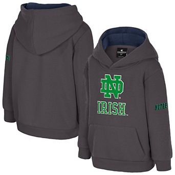 Toddler Colosseum Charcoal Notre Dame Fighting Irish Big Logo Fleece Pullover Hoodie