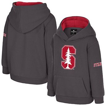 Toddler Colosseum Charcoal Stanford Cardinal Big Logo Volume Fleece Pullover Hoodie
