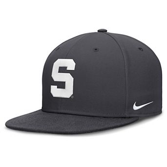 Men's Nike Anthracite Michigan State Spartans Pro Dri-FIT Fitted Hat