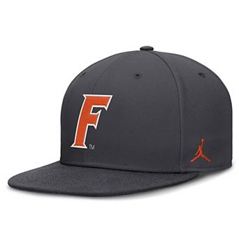 Men's Nike Anthracite Florida Gators Pro Dri-FIT Fitted Hat