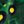 Dark Green Yellow