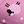 Pink Sheep