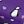 Plum Burst Penguins