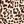 Brown Leopard Print
