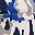 Blue Camo