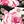 Pink Green