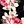 Pink Green White