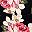 Pink Green White