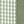 Light Green White