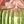 Pink Green