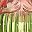 Pink Green