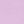 Orchid Purple