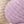Lavender Ivory