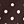 Brown Polka Dot