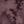 Dark Purple Red