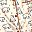 Cream Taupe White
