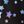 Black Starry
