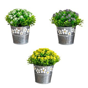 nearly natural 6-inch Artificial Succulent Flowering Plant in Decorative Daisy Tin Planter - Set of 3