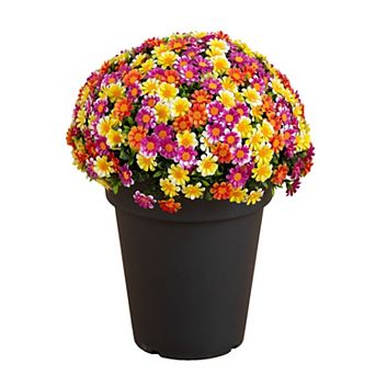 nearly natural 18-Inch UV Resistant Artificial Mixed Daisy Plant