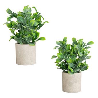 nearly natural 8-Inch Artificial Greenery Decorative Planter 2 pc Set