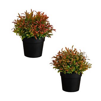 nearly natural Artificial Grass Plant Set of 2 in Black Pot