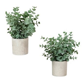 nearly natural Artificial Eucalyptus in Decorative Planter - Set of 2