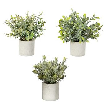 nearly natural Artificial Mini Eucalyptus Potted Plants 3-Pack