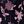 Dark Purple