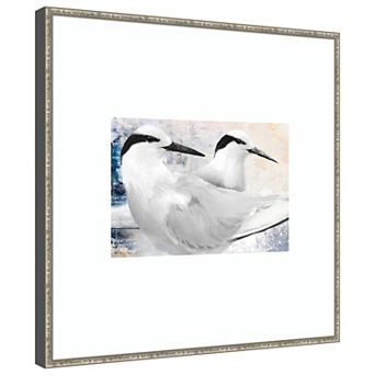 Black-Naped Tern by Porter Hastings Wood Framed Wall Art Print