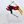 Skier White