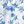 Blue White B