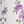 Light Purple