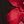 Black Red