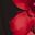 Black Red
