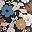 Black Floral