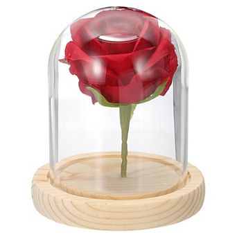 3.9" x 3.1" Glass Cloche Display Dome, Tabletop Display Case with Wood Base, Natural