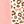 Tusk Pink Leopard