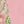 Pink Flower Print