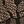 Beige Black