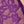 Red Purple