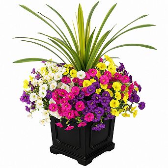 12 Pack UV Resistant Silk Morning Glory Eucalyptus Orchid Leaf Artificial Outdoor Flowers