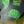Green Yellow Gold Tone