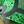 Green Yellow