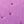 Lilac Purple